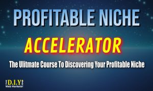 find a profitable niche